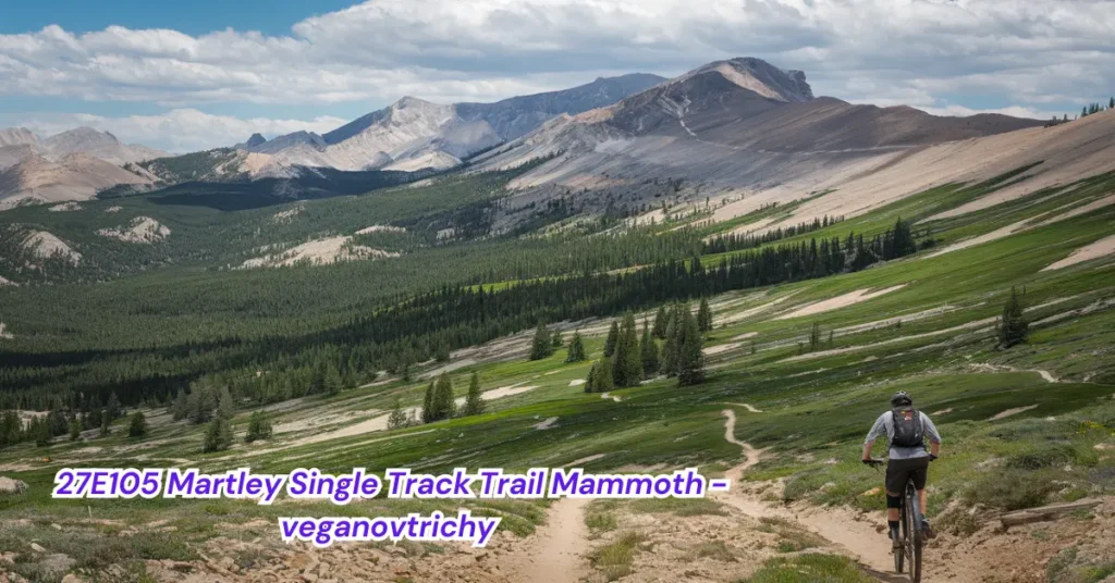 27e105 martley single track trail mammoth - veganovtrichy