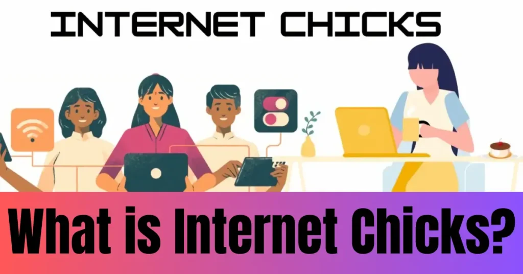 What is Internet Chicks?