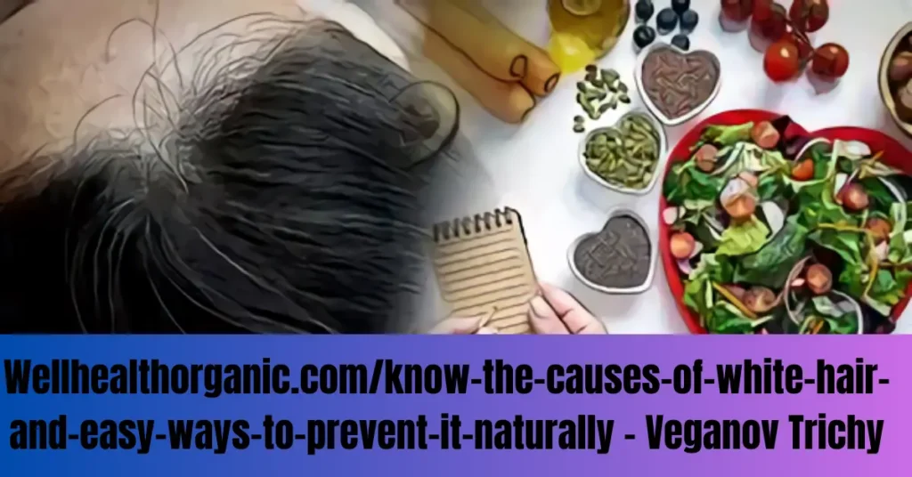 Wellhealthorganic.com/know-the-causes-of-white-hair-and-easy-ways-to-prevent-it-naturally - Veganov Trichy