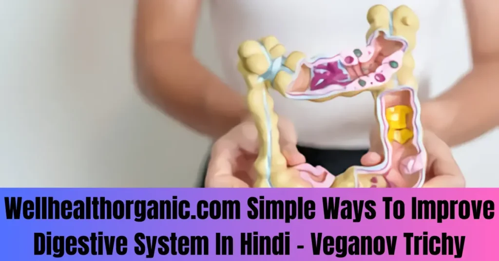 Wellhealthorganic.com Simple Ways To Improve Digestive System In Hindi - Veganov Trichy
