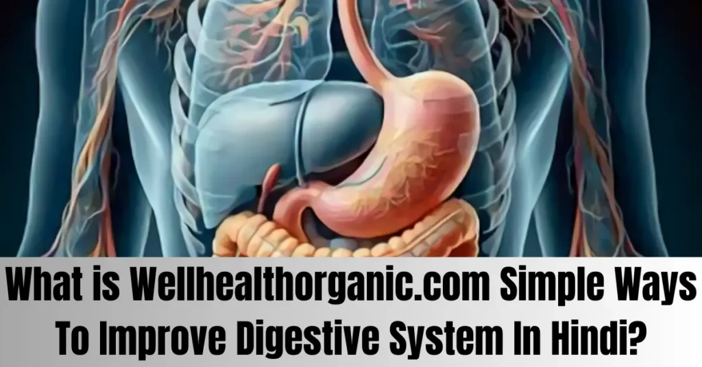 What is Wellhealthorganic.com Simple Ways To Improve Digestive System In Hindi?