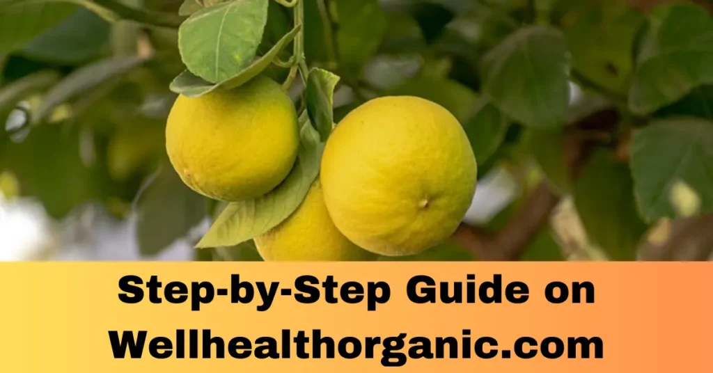 Step-by-Step Guide on Wellhealthorganic.com