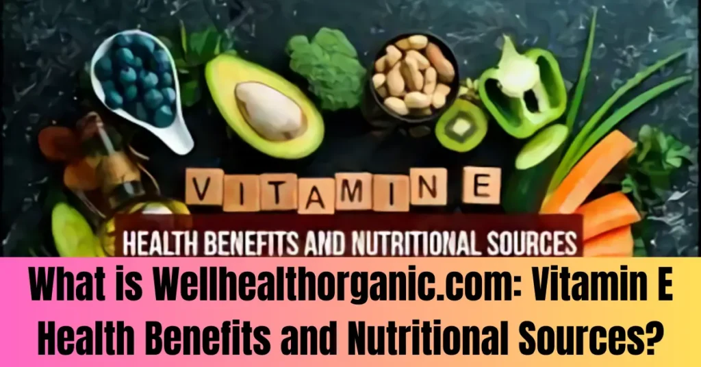 What is Wellhealthorganic.com: Vitamin E Health Benefits and Nutritional Sources?