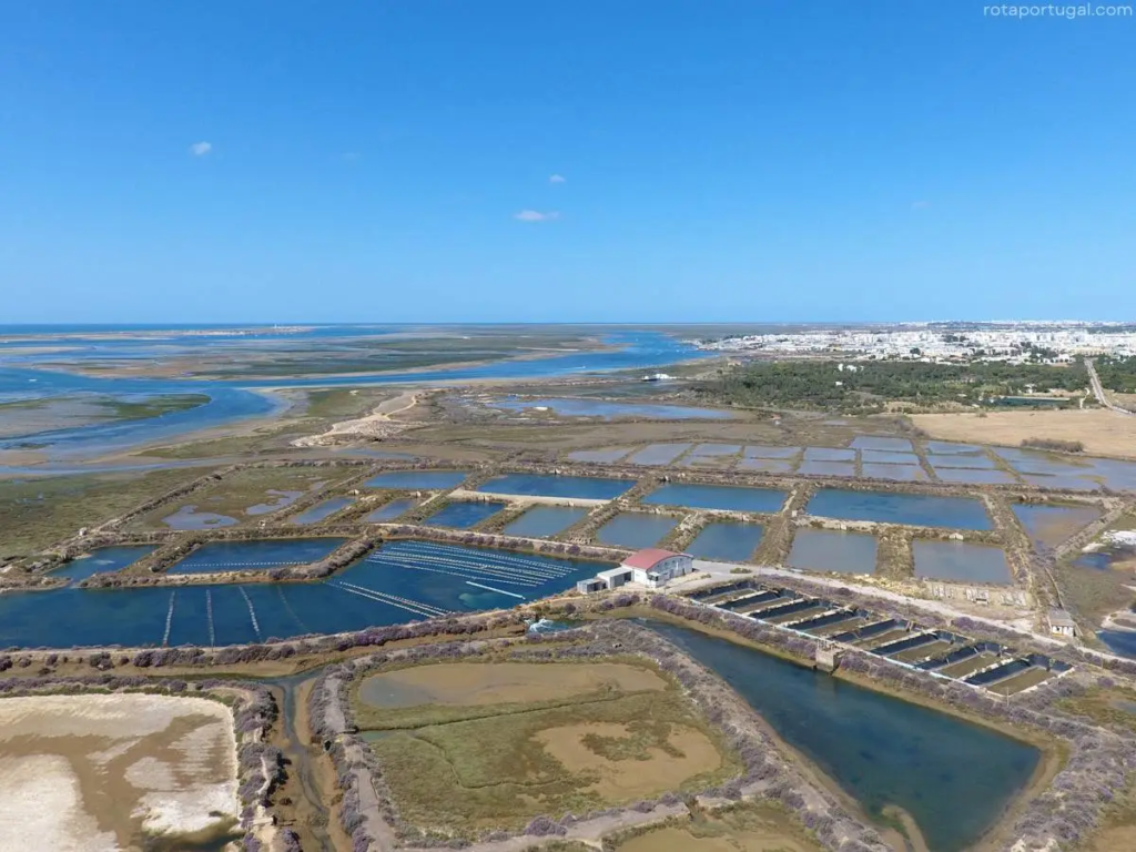 How the Ria Formosa Shapes Property Around Tavira