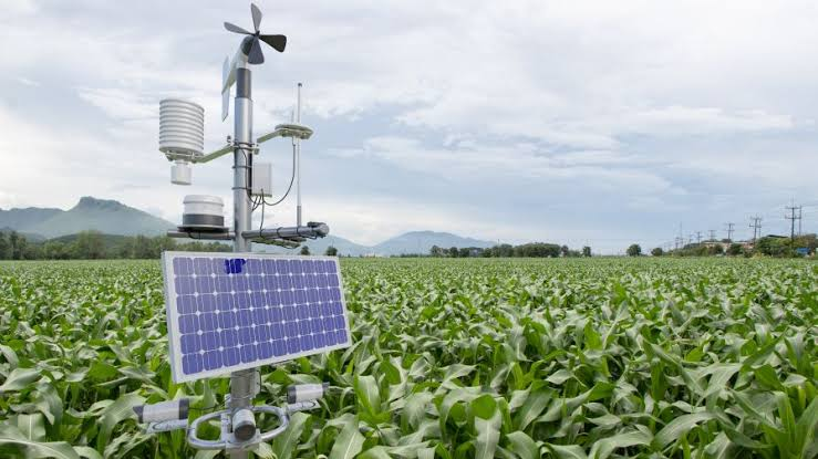 Technology in Agriculture: How Smart Sensors Are Transforming Food Production