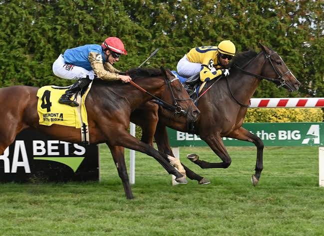 Messiturf10: Exploring Horse Racing, Turf, and Racing Information