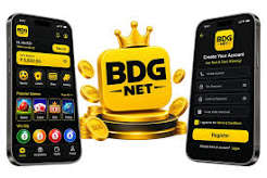 Getting Started with BDG NET
