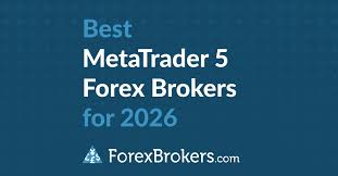 The Role of MT5 Forex Brokers in Global Trading Access Today
