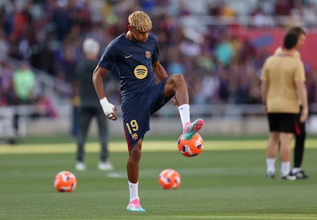 Bolagila Lama: Discover the Upgrades That Improve the Player Experience