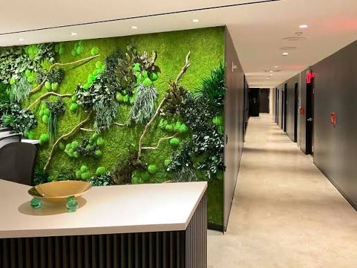 Transforming Indoor Environments with Sustainable Moss Art Wall Decor