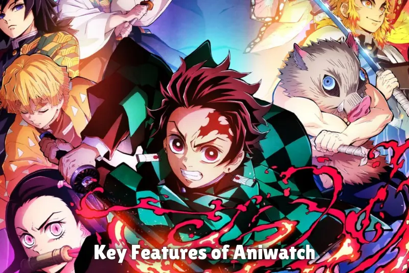 key features of aniwatch