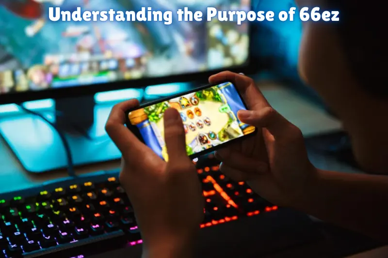 understanding the purpose of 66ez