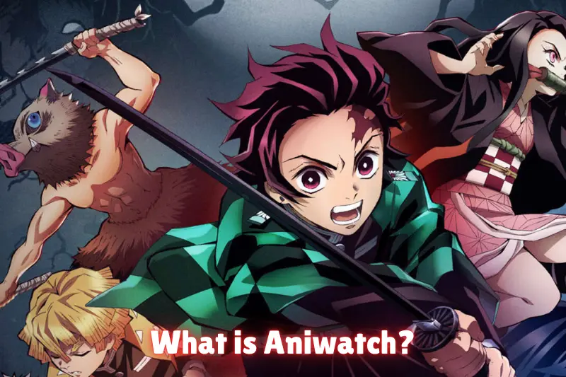 what is aniwatch